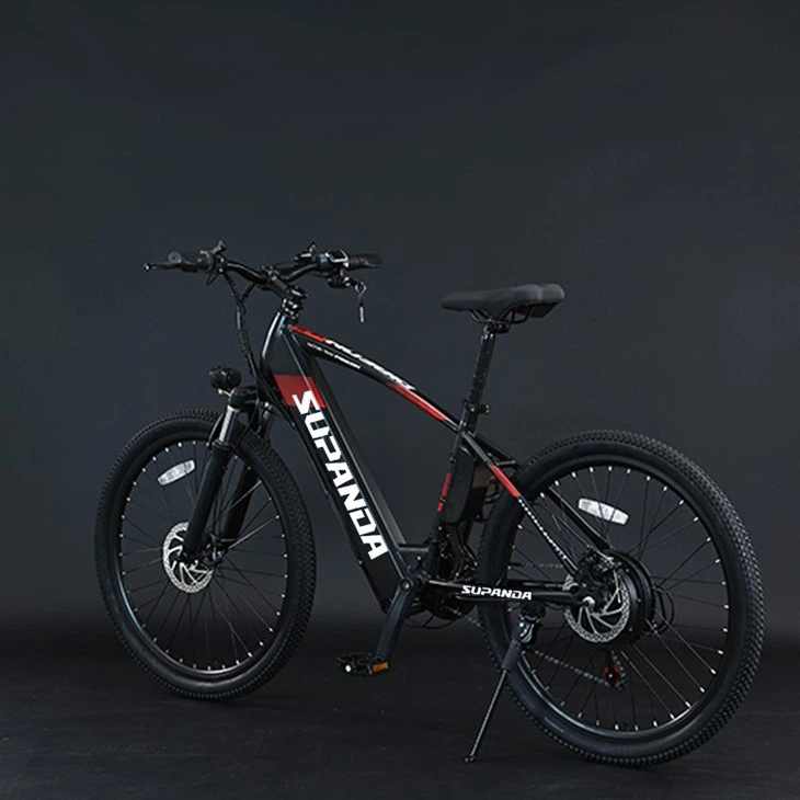 Men's Mountain Electric Bike